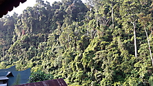 Sumatra 2015_1